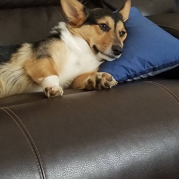 Meet your Posher, Austin - Picture 1 of 1